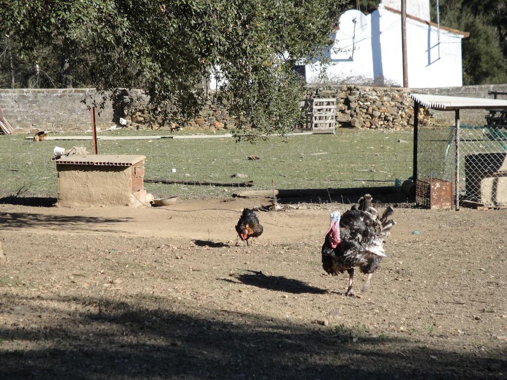 Casa Rural Sierra San Mamede La Codosera Ngoại thất bức ảnh