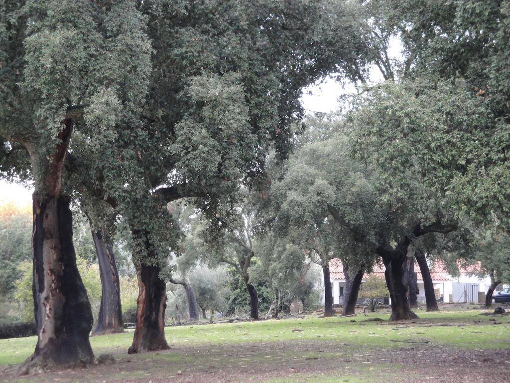 Casa Rural Sierra San Mamede La Codosera Ngoại thất bức ảnh